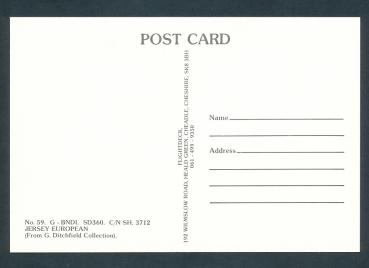 Preview: G- BNDI. SD360, Jersy European